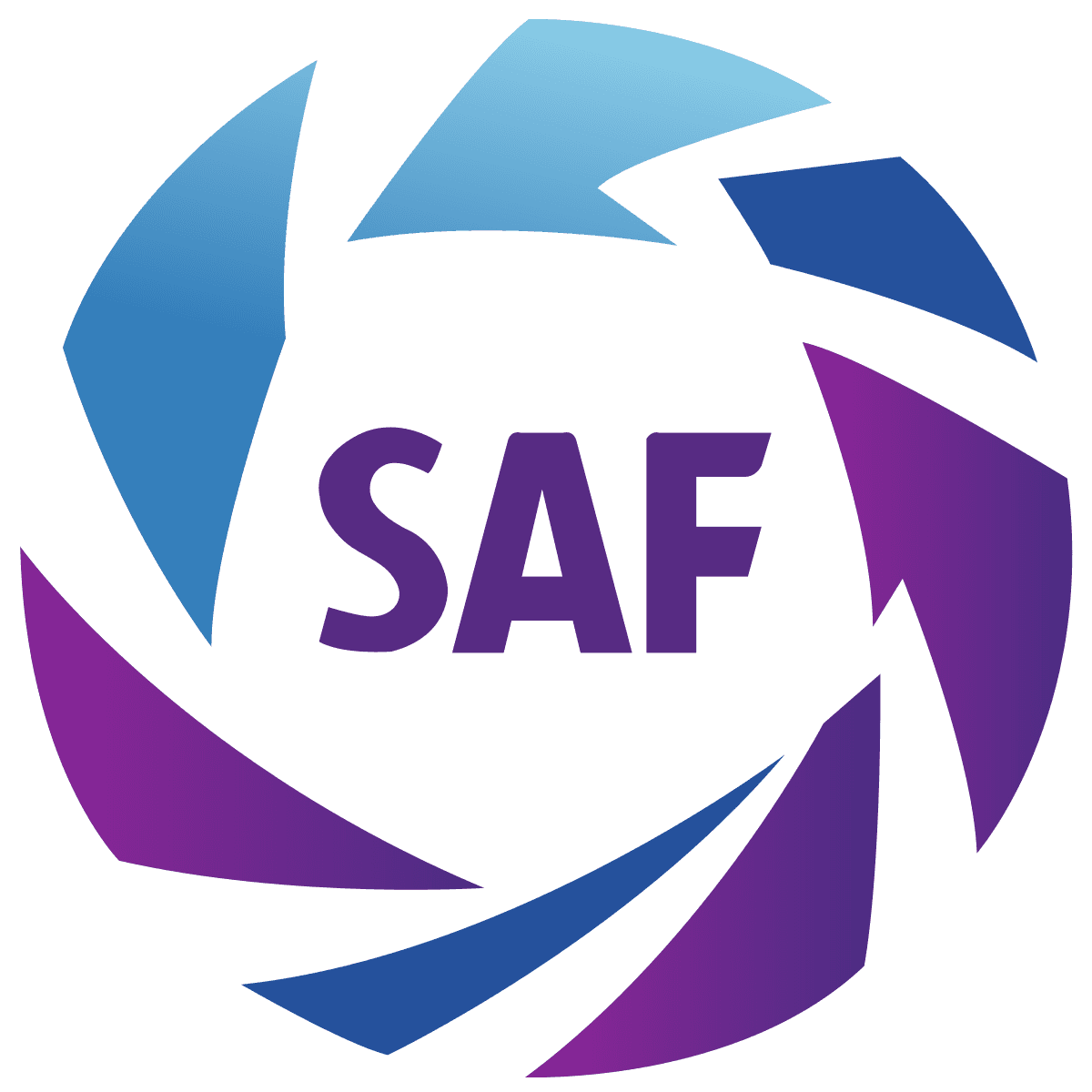 Primera Division Argentina - Football