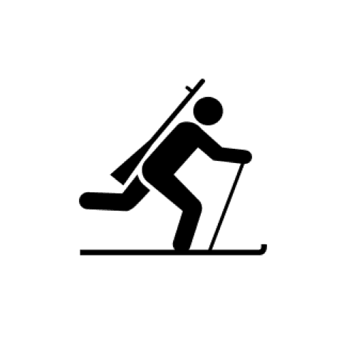 Biathlon