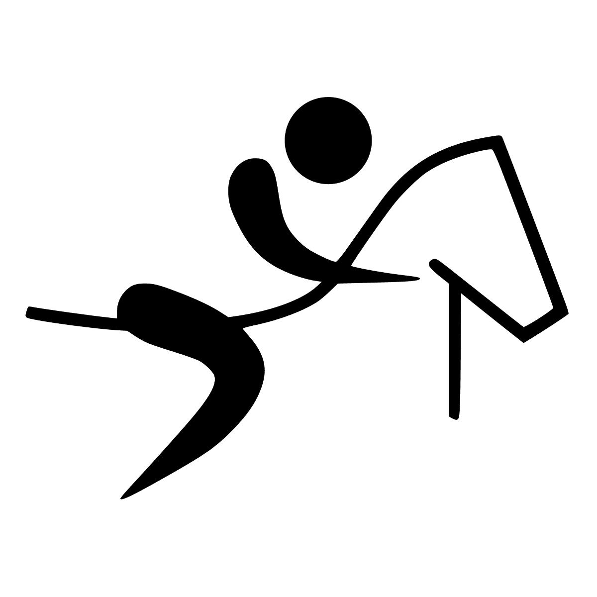 Equestrian sports (i.e. competitive horse riding)