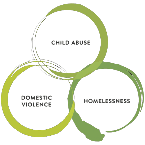Children and Youth - domestic violence related causes