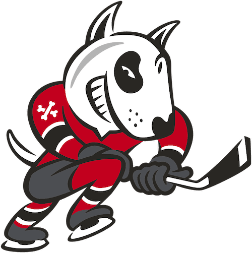 Niagara Ice Dogs