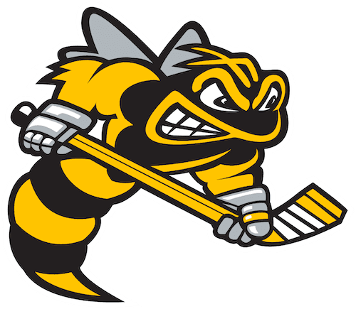 Sarnia Sting