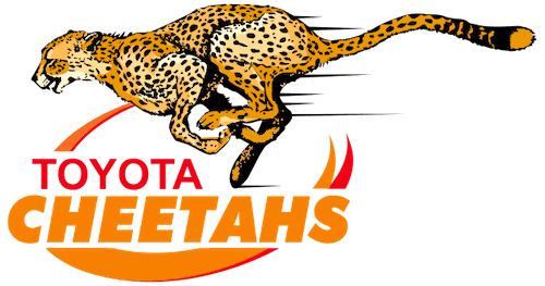 Cheetahs (Super Rugby)