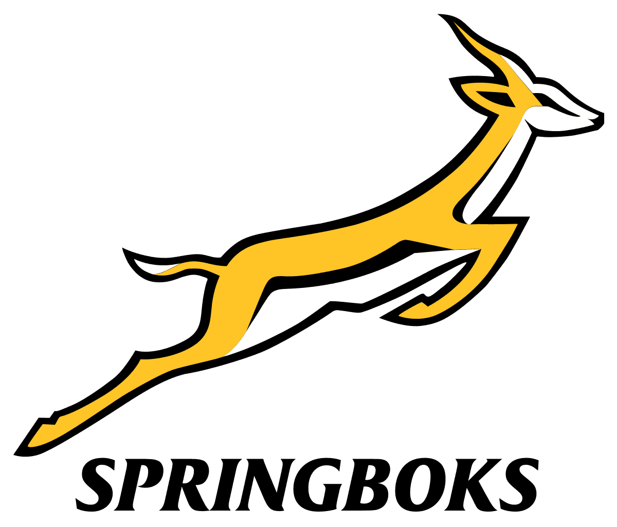 Springboks (National Rugby Team)