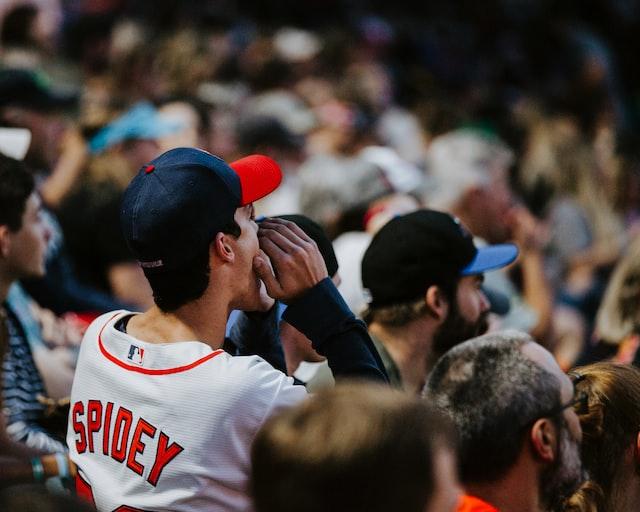 MLB Fan